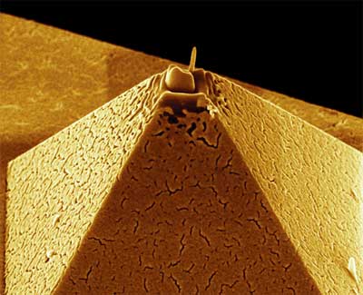 金金字塔-原子力显微镜